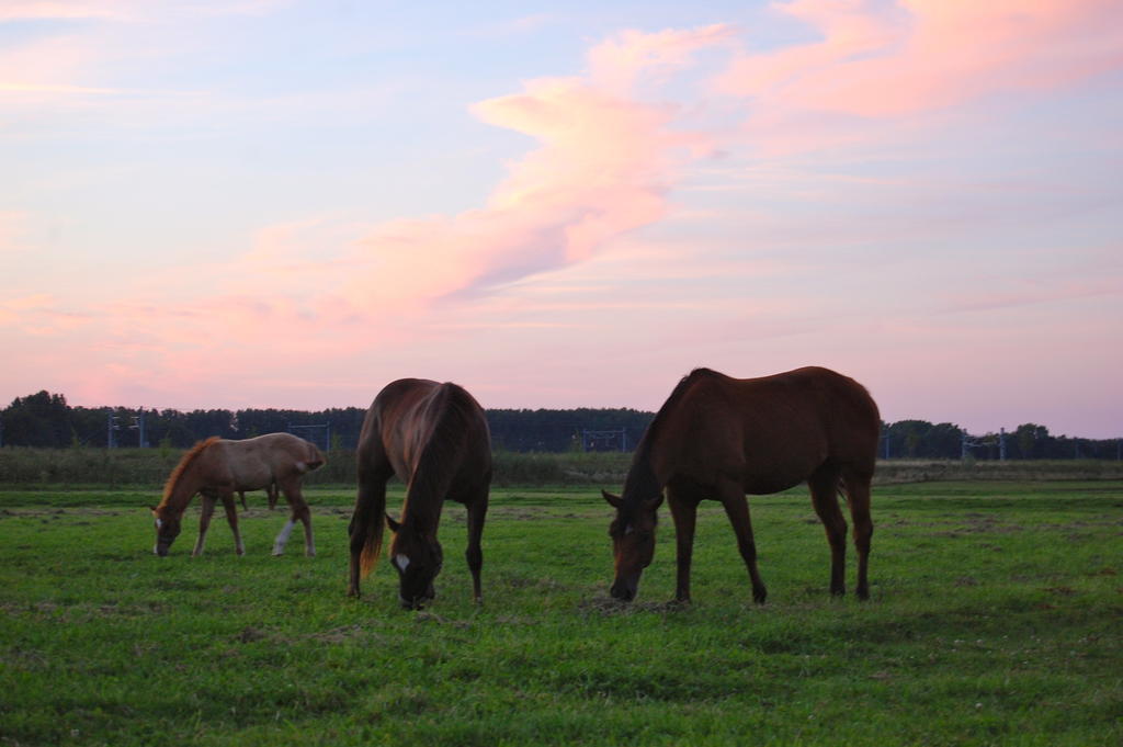 Apartmán Lelymare Logies Lelystad Exteriér fotografie