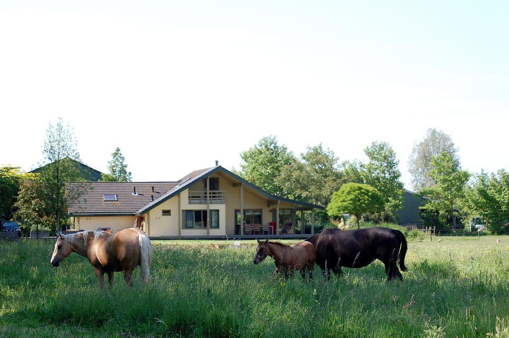 Apartmán Lelymare Logies Lelystad Exteriér fotografie